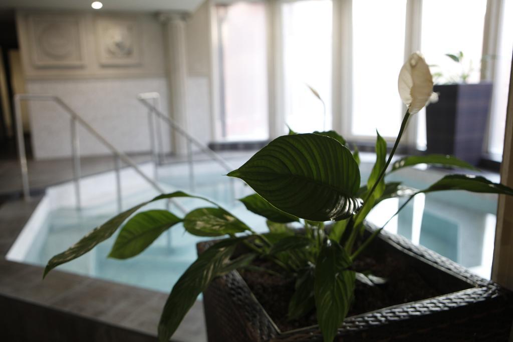 Strimon Garden Medical Spa Hotel Κιουστεντίλ Εξωτερικό φωτογραφία